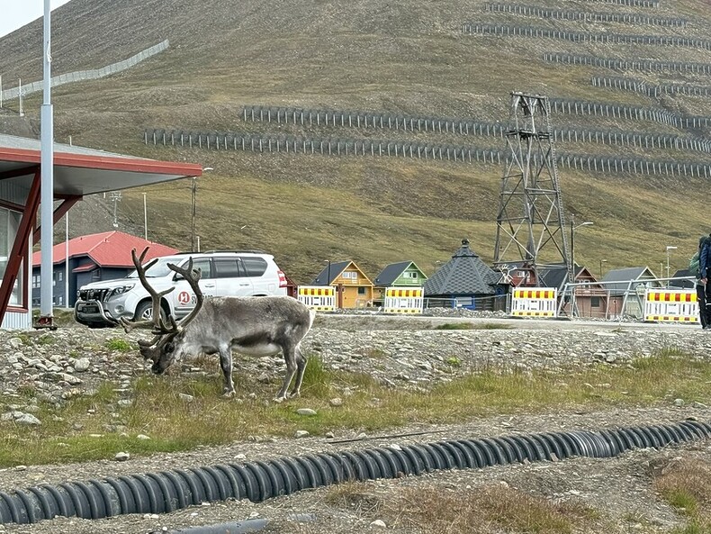 Secret Atlas Expedition Micro Cruise around the Glorious Arctic Svalbard Wilderness