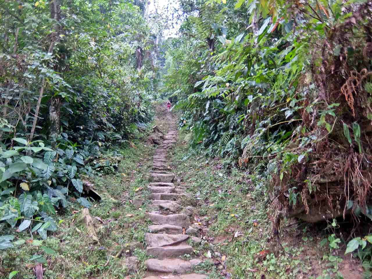 Lost City Steps