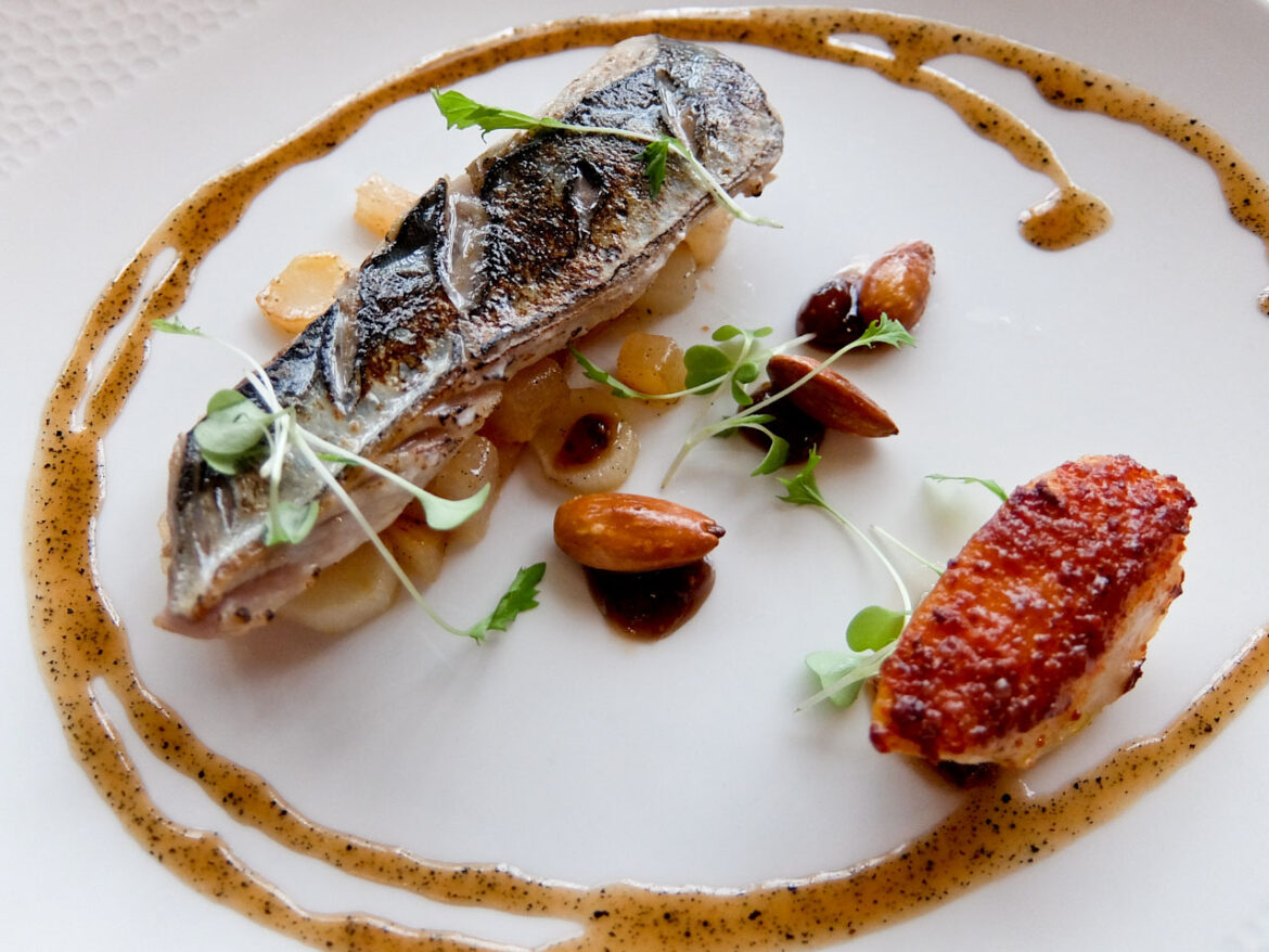 Mackerel Starter