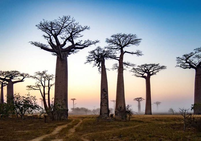 15 day tour of Madagascar with Explore 15 day tour of Madagascar with Explore