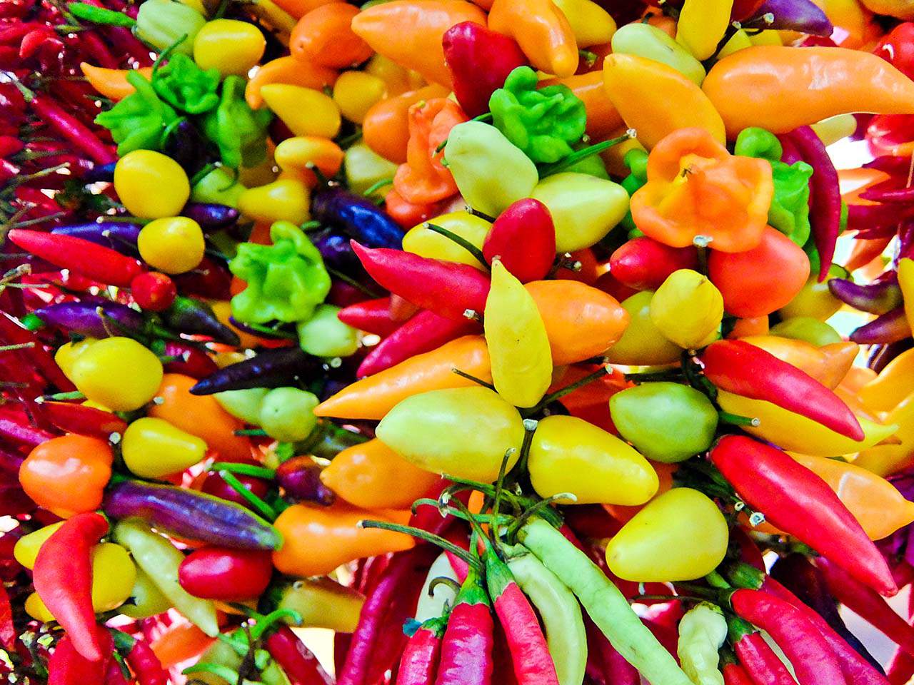 Mallorca Food - Fresh Peppers