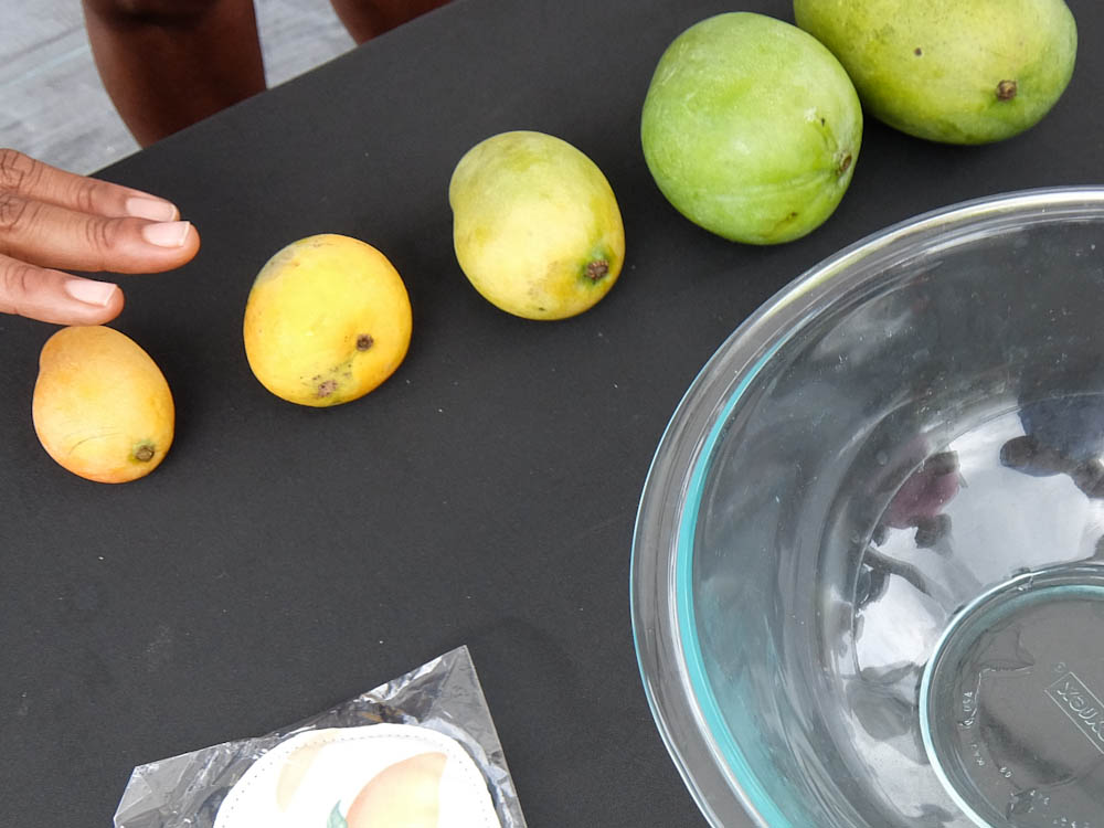 Mangomania Blind Tasting Mangos