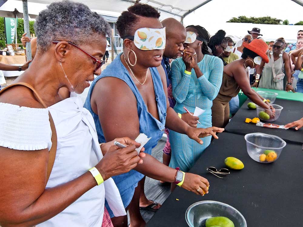 Mangomania Blind Tasting