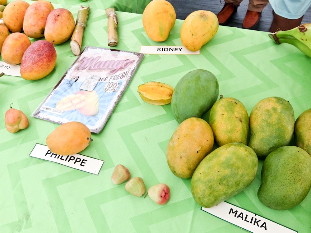 Mangos 2