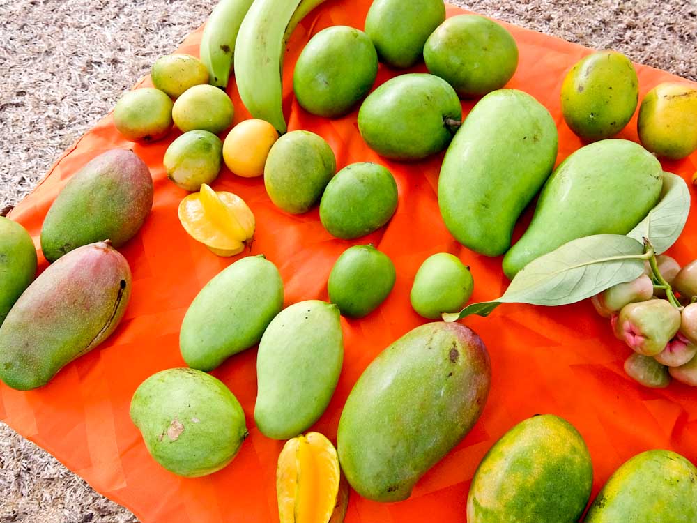 Mangos and Fruit