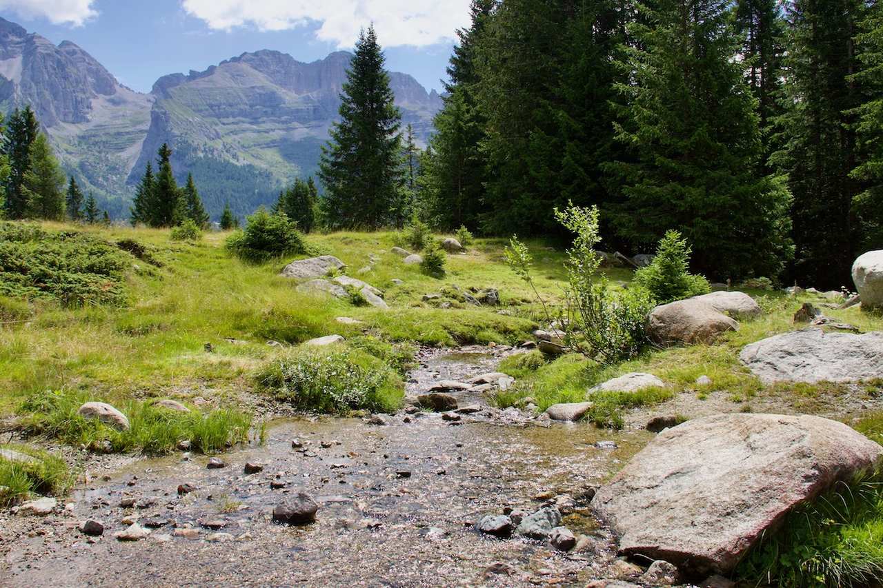 Mountain Stream on Pradalago in Madonna di Campiglio, Italy