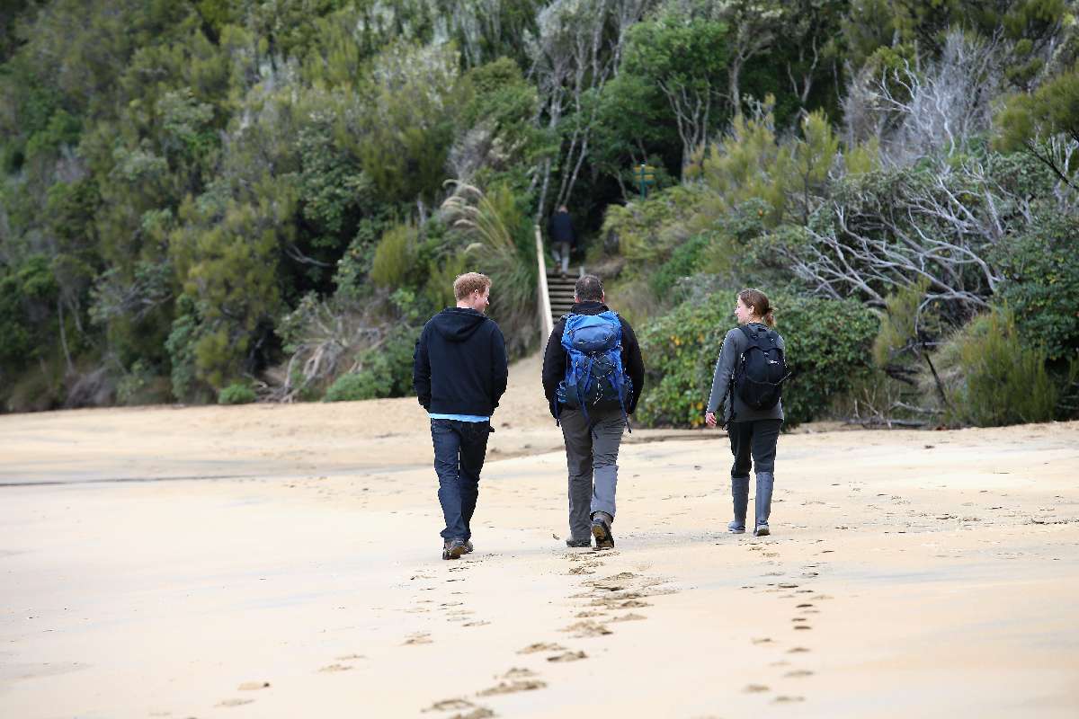 Prince Harry visits a conservation jewel - Ulva Island open sanctuary, near Stewart Island, New Zealand