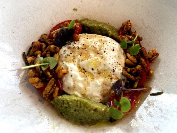 Oblix Burrata Burrata