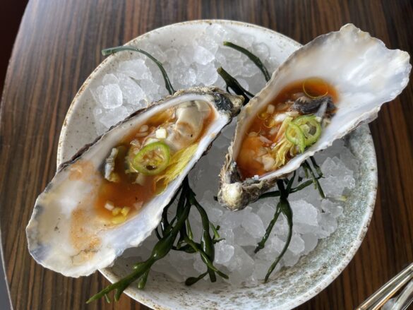 Oblix Tangy Oysters