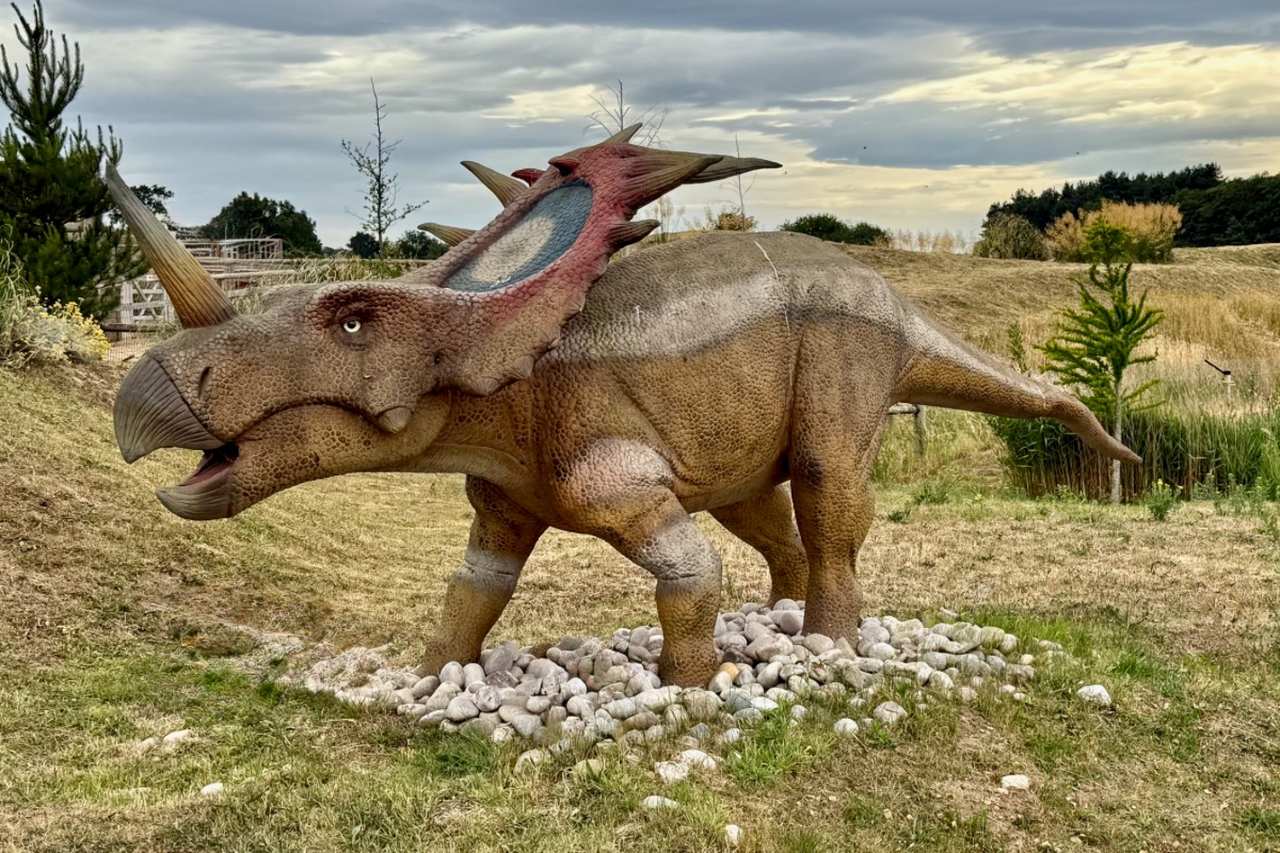 Pangea Walk at Yorkshire Wildlife Park