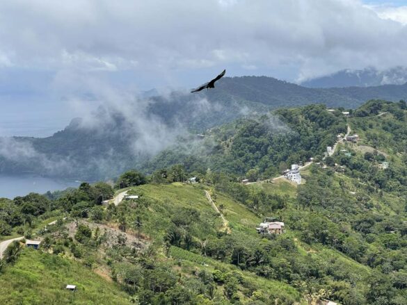 Paramin view with vulture Paramin view with vulture