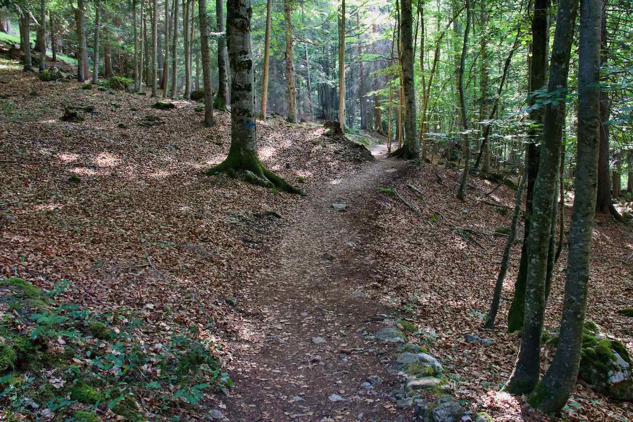 Path to Cascata di Mezzo through Vallesinella in Madonna di Campiglio, Italy