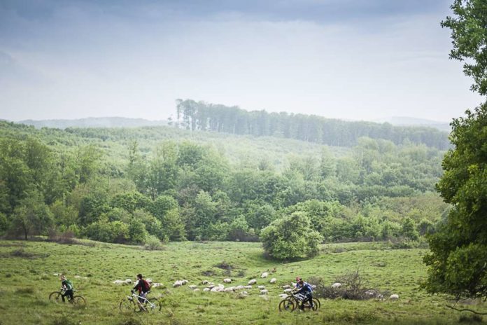 Pedalling through a typical Transylvanian landscape Pedalling through a typical Transylvanian landscape