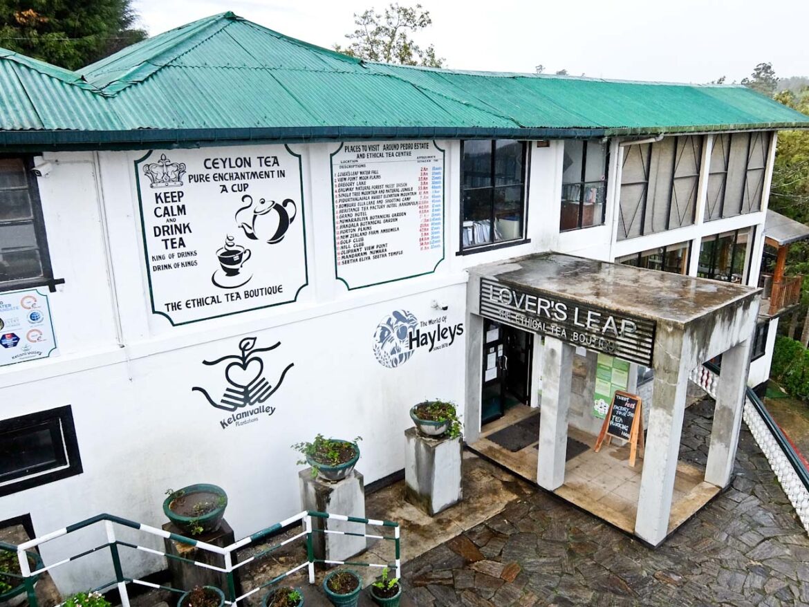Pedro Tea Shop
