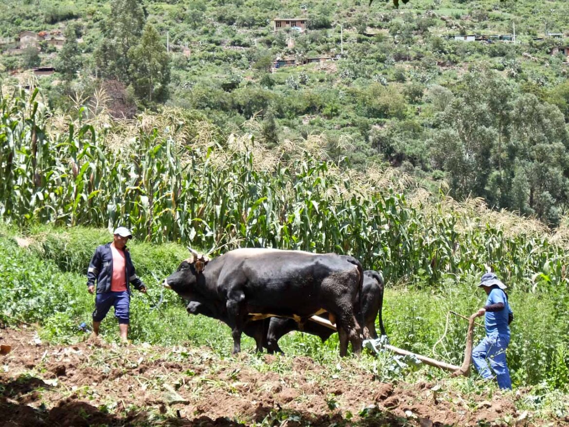 Sacred Valley