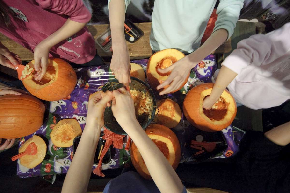 Pumpkin Carving - Half Term Halloween Hoot, Chatsworth