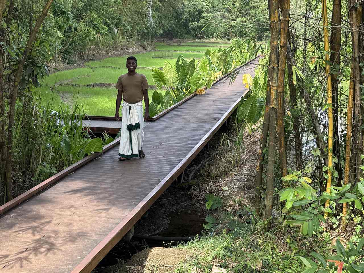 Raised walkway in the wetlands Sri Lanka