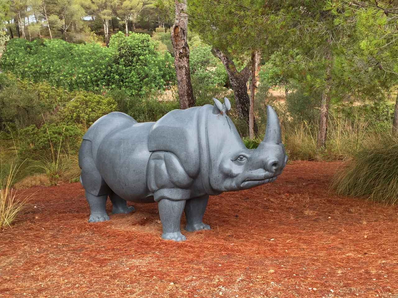 Granite rhino