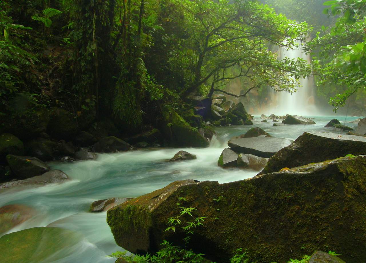 Rio Celeste in Tenorio National Park 