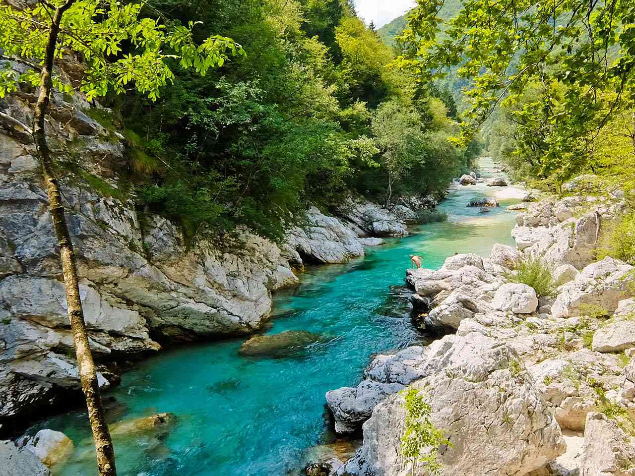 River Soca Walking Trails