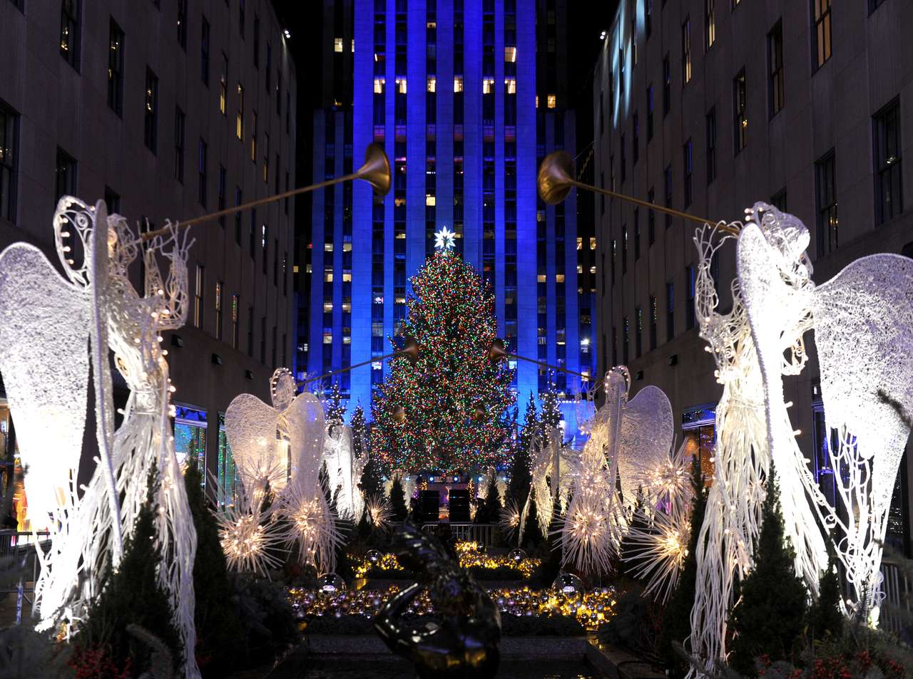 Five Exquisite Christmas Trees Found in Well-Known Cities