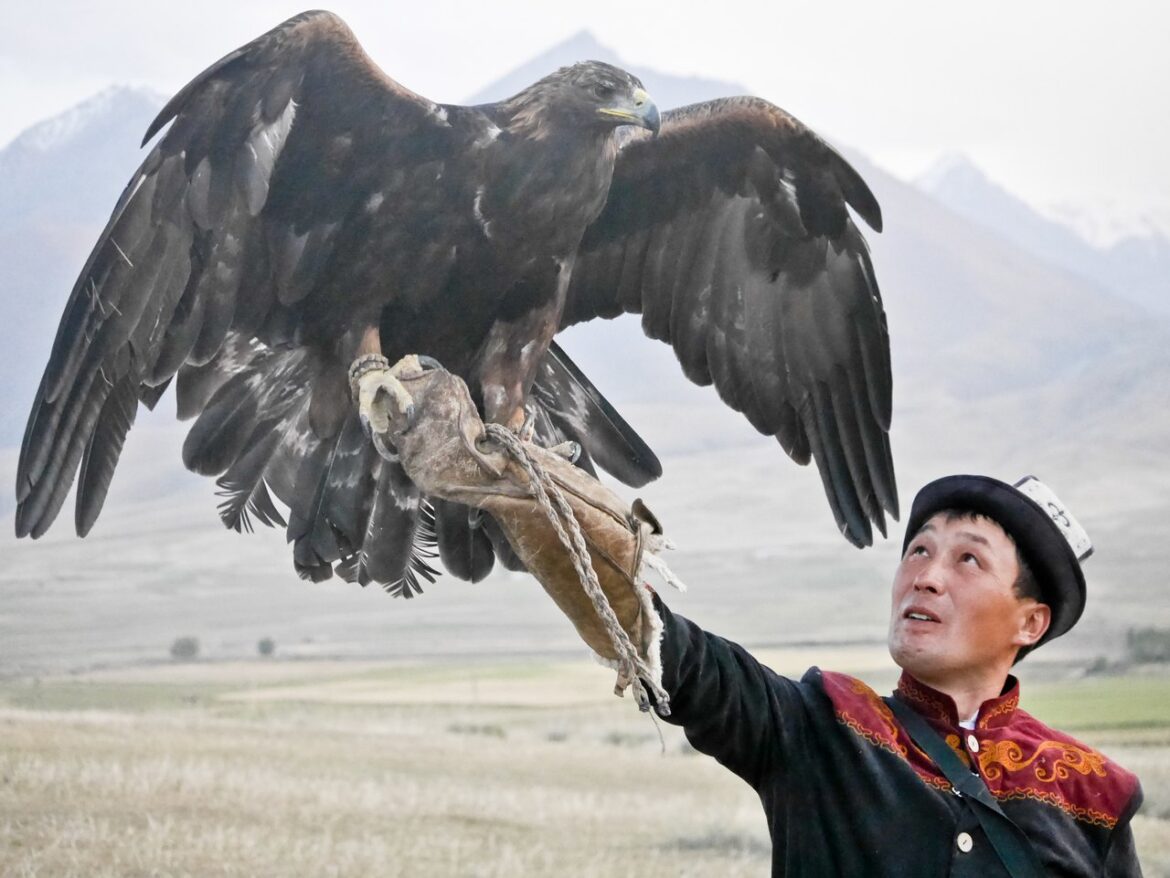 Ruslan and Eagle Spreading Wings Rusian and eagle spreading wings