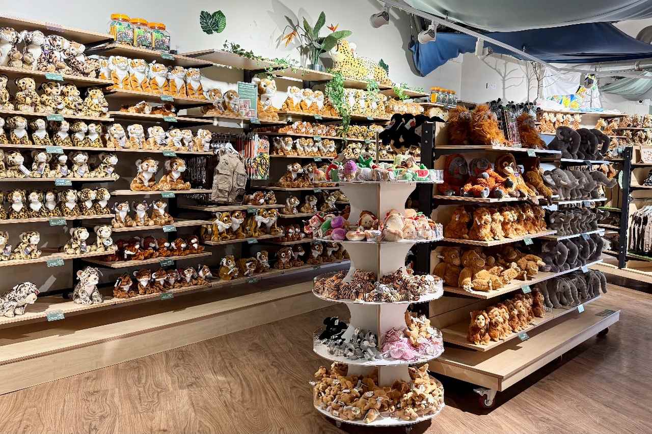 Safari Shop in the Yorkshire Hive, South Yorkshire