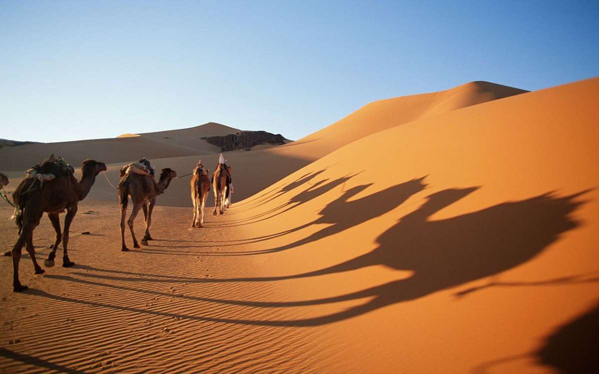 tourism in the desert