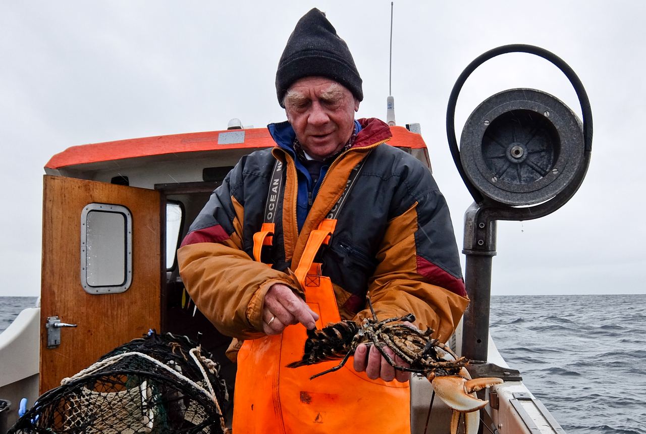 Sandøya Lobster