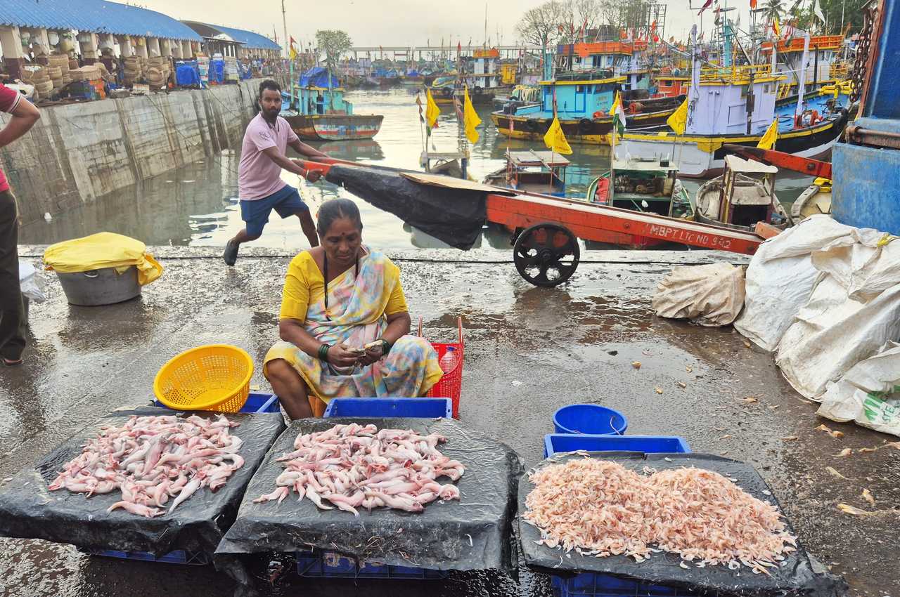 Selling shellfish at Sassoon Dock,Mumbai