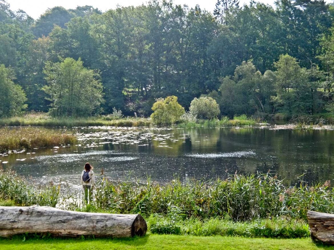 Säveån River