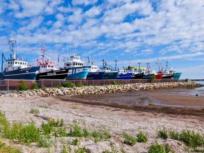 Shippagan Fishing Vessels Shippagan Fishing Vessels