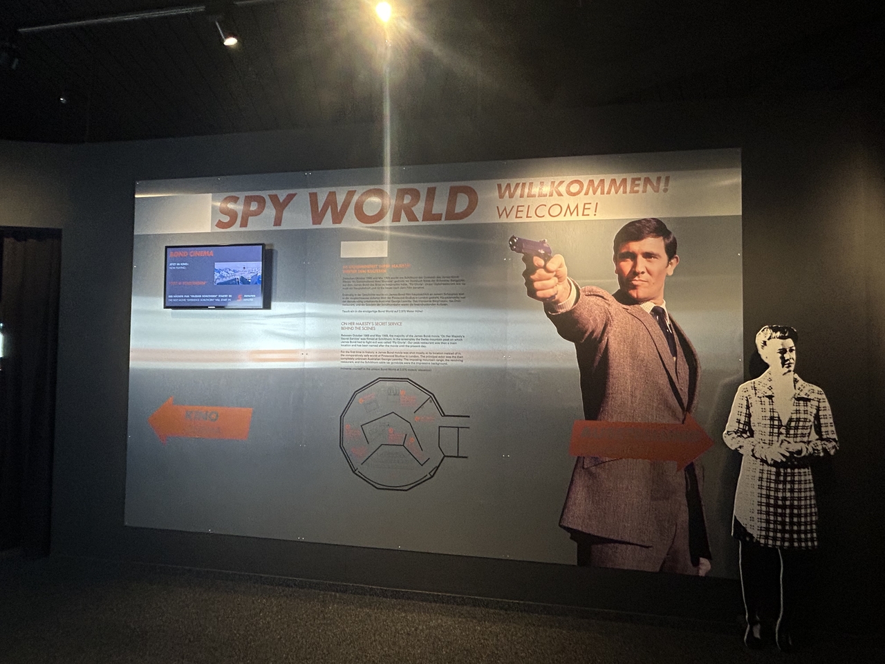 Spy World