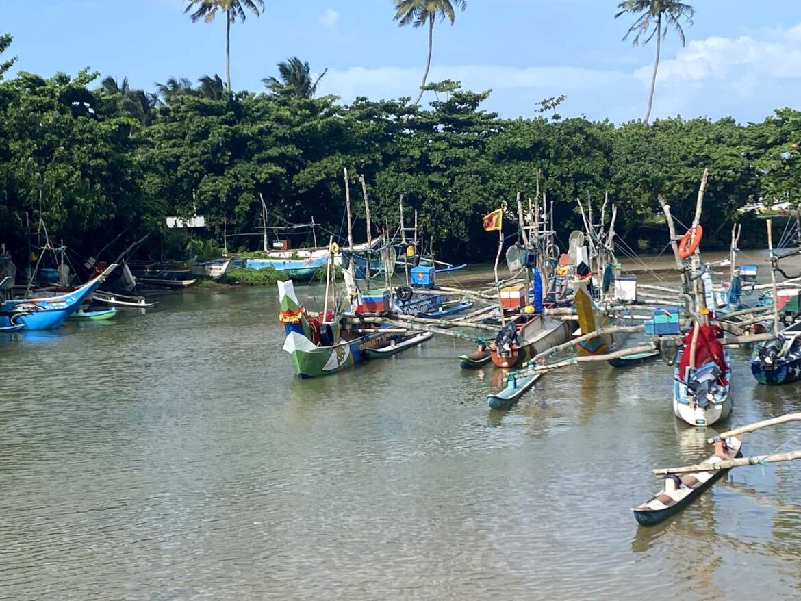 Sri Lanka Nat boats