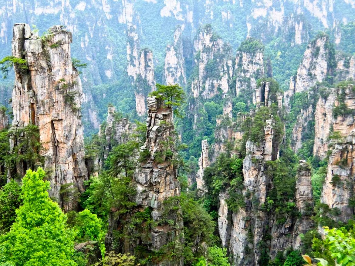 Stone Peak Forest