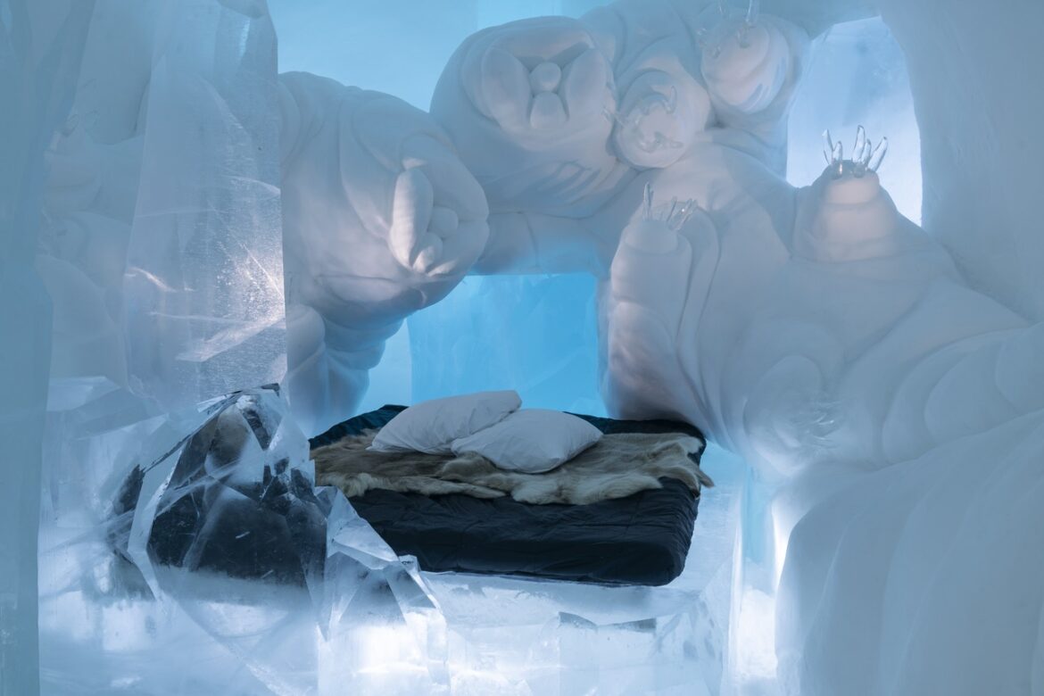 Survival Of The Fittest, Carl Wellander & Malena Wellander, Sweden, ICEHOTEL 36, photo- Asaf Kliger-2 (1)