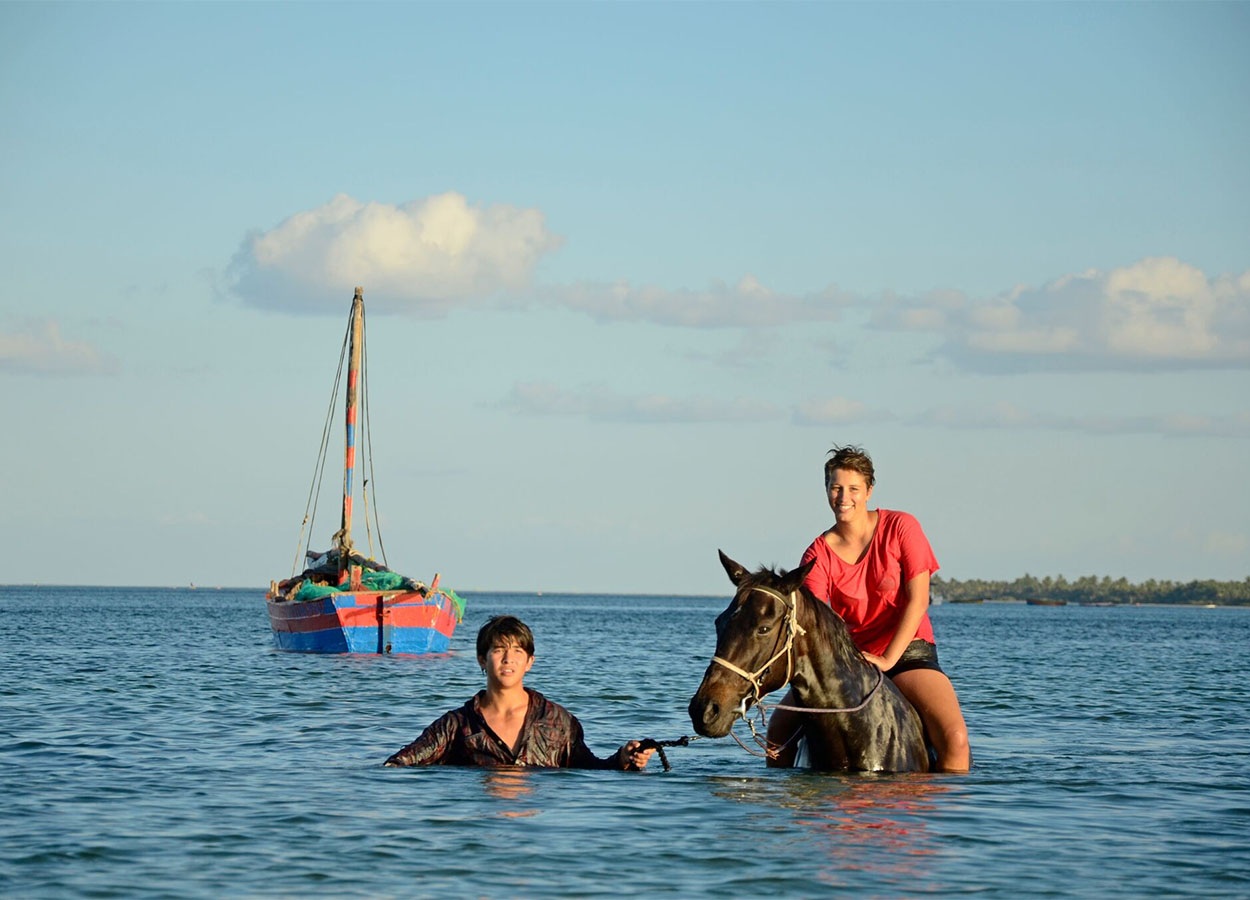 Swimming Horses Mozambique 7 2
