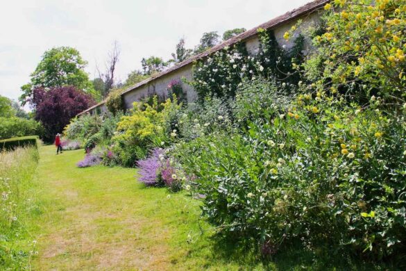 The Herbaceous Border at Houghton Lodge Gardens