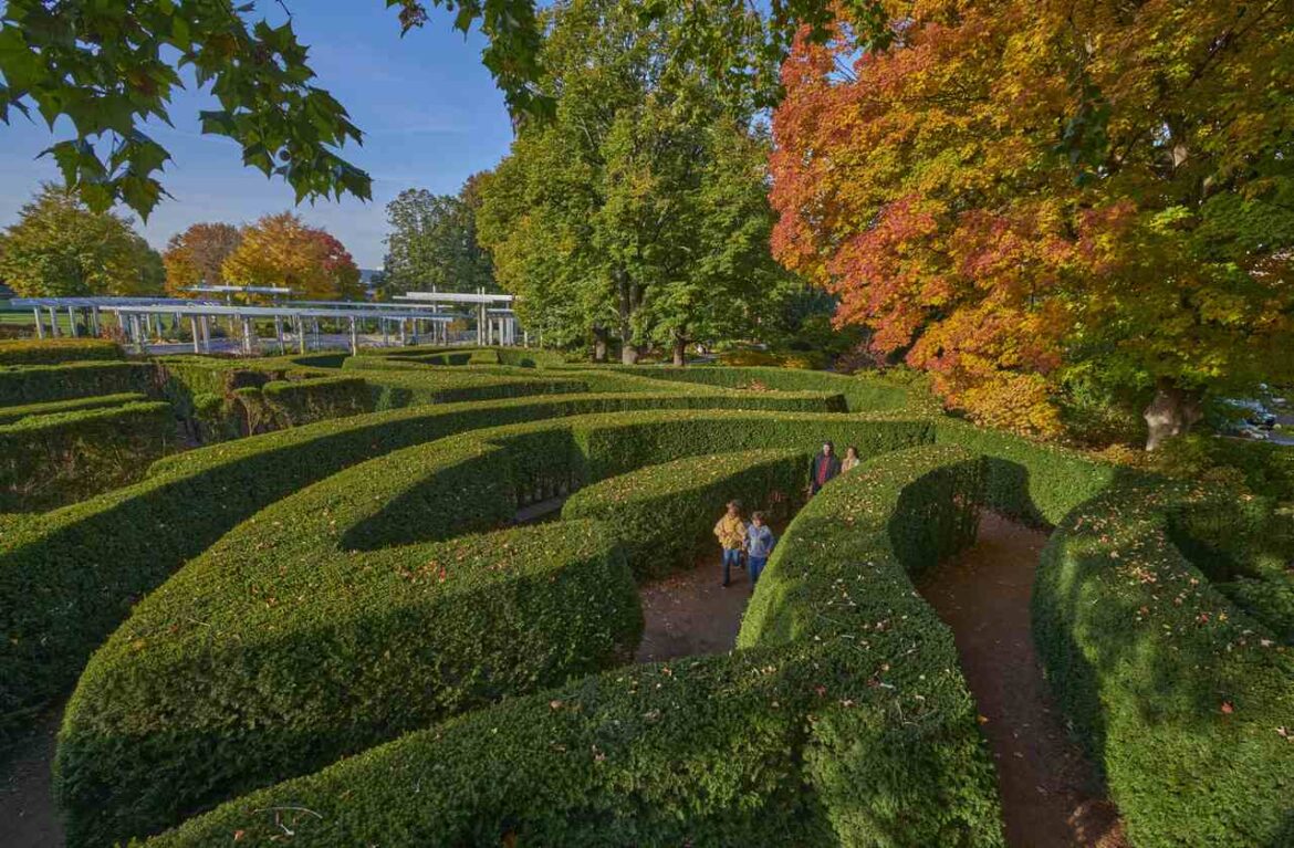 The Morton Arboretum maze