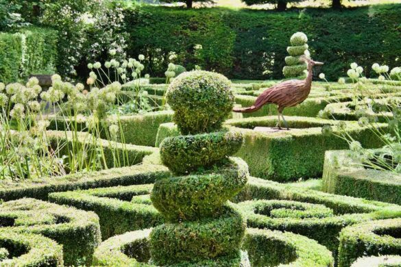 The Peacock Garden at Houghton Lodge and Gardens