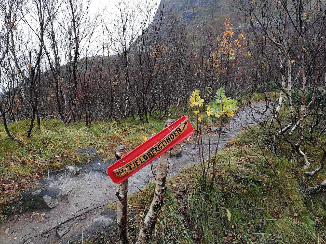 Tjellbergtind hiking trail