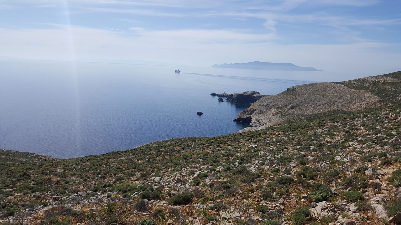 Fish Hook Syros