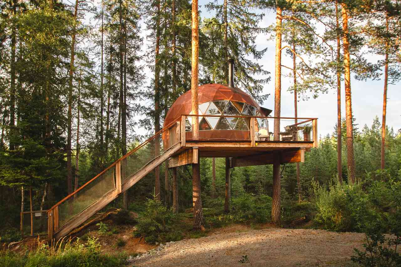 Tree House