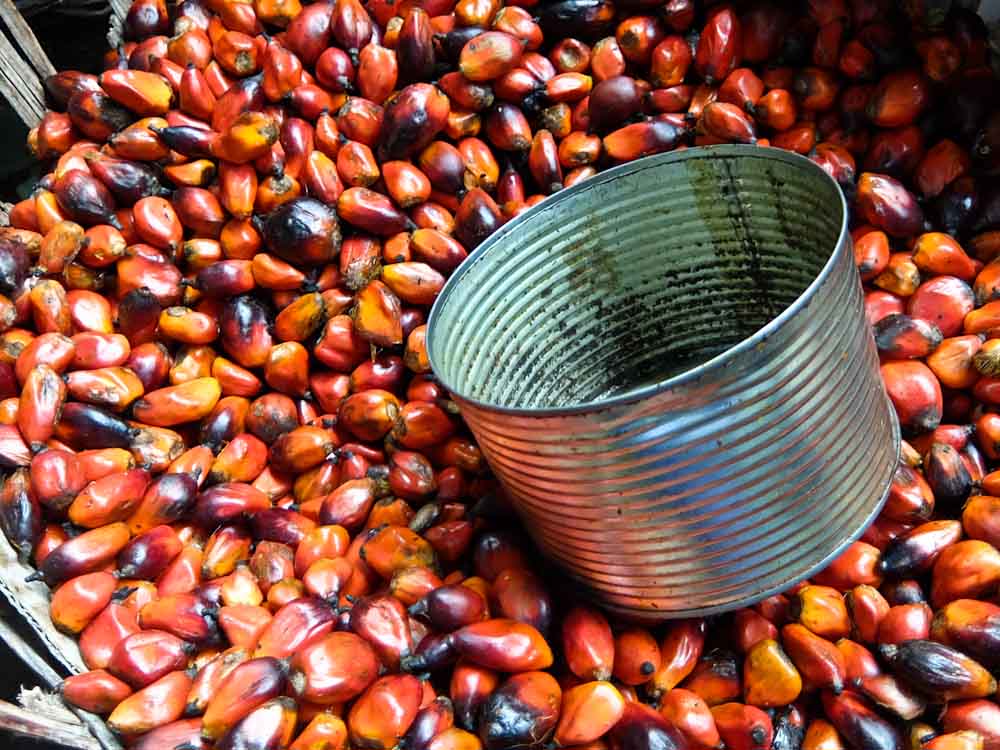 Treichville Market Berries