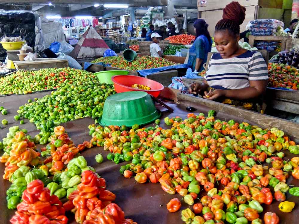 Treichville Market Chillis