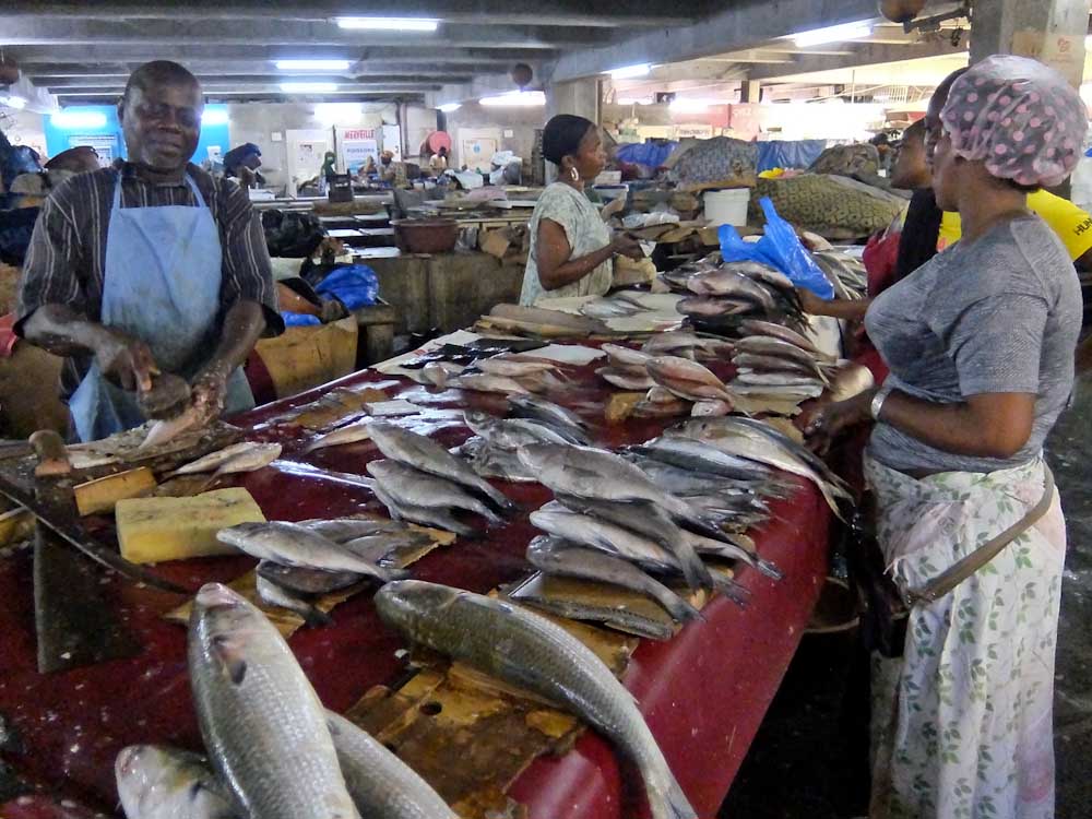 Treichville Market Fish