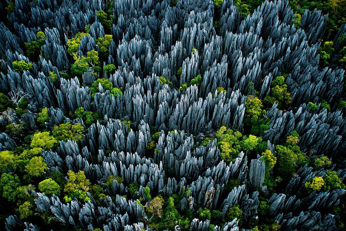madagascar national parks national parks in madagascar parks in madagascar madagascar national park national park madagascar where is ranomafana national park located ranomafana national park tours ranomafana national park animals ranomafana national park map ranomafana national park history ranomafana national park facts andringitra national park national parks travel guide about national parks guide to national parks book national park travel book guide to visiting national parks national park guide guide to national parks the national parks book national park madagascar madagascar to do national park guide book national park travel the national parks visit national parks national park trips trips to national parks national parks travel guide book travel to national parks national parks a national park in local national parks national parks with reservations national parks book all of the national parks travel to all national parks national park reservations national parks parks national parks tickets national parks in national parks national parks to visit your guide to the national parks national parks is national park s national p national park national park national parks are national park of do park park guide the national park guide madagascar park national reserve park parks and reserves parks to walk in guide to visiting all national parks national parks in madagascar national parks i national trips national parks and reserves national parks and national parks in is national parks in the madagascar protected areas national parks are there book of all national parks national parks in the is do it park guide national park national parks in the area parkes to do national national parks national parks by the park s trip to all national parks book about visiting national parks madagascar national parks and reserves national park ticket booking wwf world wwf world wide fund for nature world wildlife fund for nature wwf wildlife fund world wide fund nature world wildlife funds world wildlife wwf world wide wildlife fund wwf protects the world wildlife fund wwf world wildlife fund wwf world wide fund www world wildlife the world wild life fund the world wild fund for nature about world wildlife fund the world wide fund for nature wwf global wwf work the world wide fund world wildlife protection world wide fund for wwf stories the world wildlife the wildlife fund wwf the world wwf world wide wwf protected areas wwf world wild fund world wildlife for nature wild wide fund for nature wide fund world life fund for nature wwf world wild fund for nature world wildlife fund funding world life wild fund work for world wildlife fund national park national park reservations nature parks the national park national p national parks to visit a national park national park in national parks traveler national parks in national parks magazine national park national park national parking visitation nature park national parks are park national park national park is national national park national park is in visit national parks nature reserve park madagascar park national park madagascar national parks in madagascar national park park for national park national park i at the national park on national park bemaraha madagascar and national park madagascar national parks and reserves national park national park national park