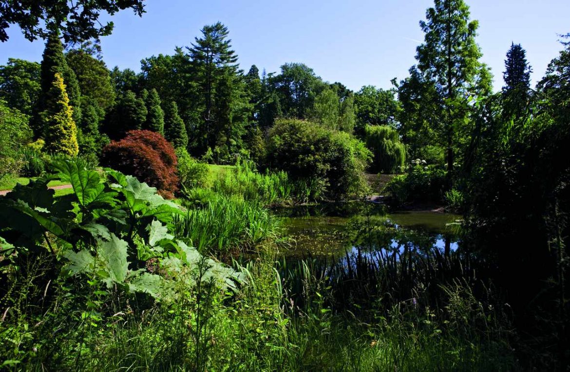 Tylney Hall garden shrubs & lake