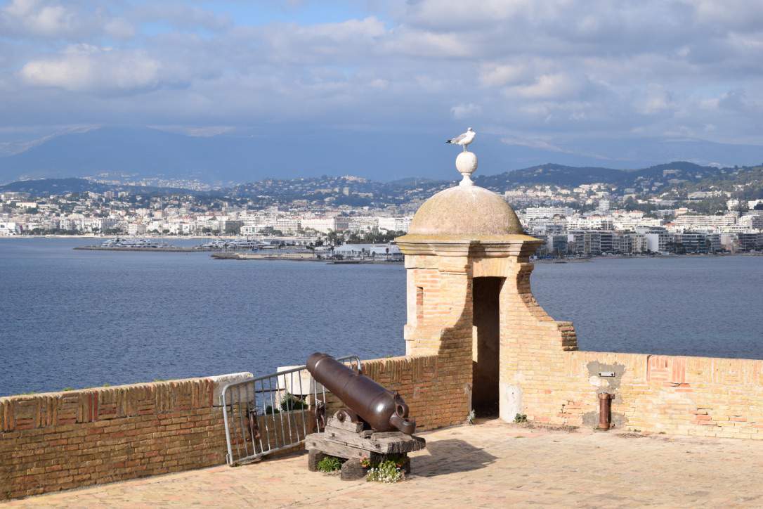 View of Cannes from St Marguerite View of Cannes from St Marguerite