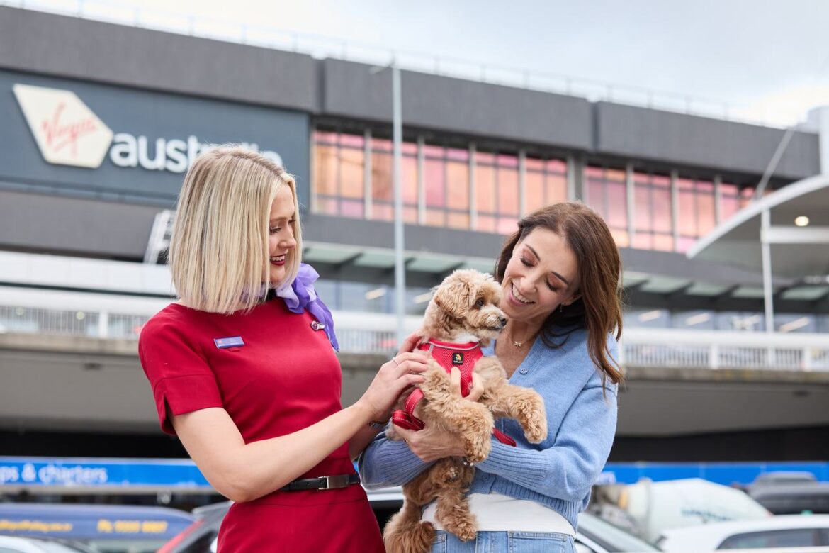 Virgin Australia Pets in Cabin Virgin Australia Pets in Cabin
